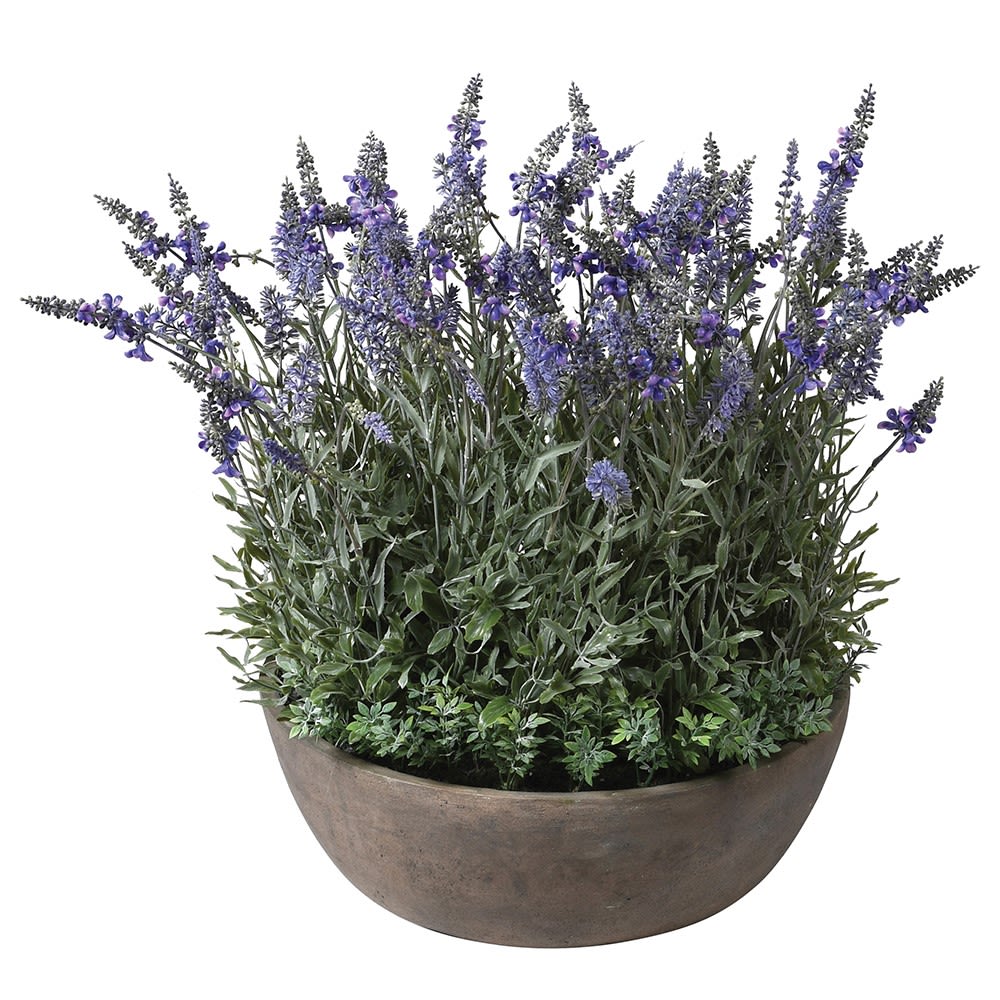 Huge Lavina Lavendar Pot