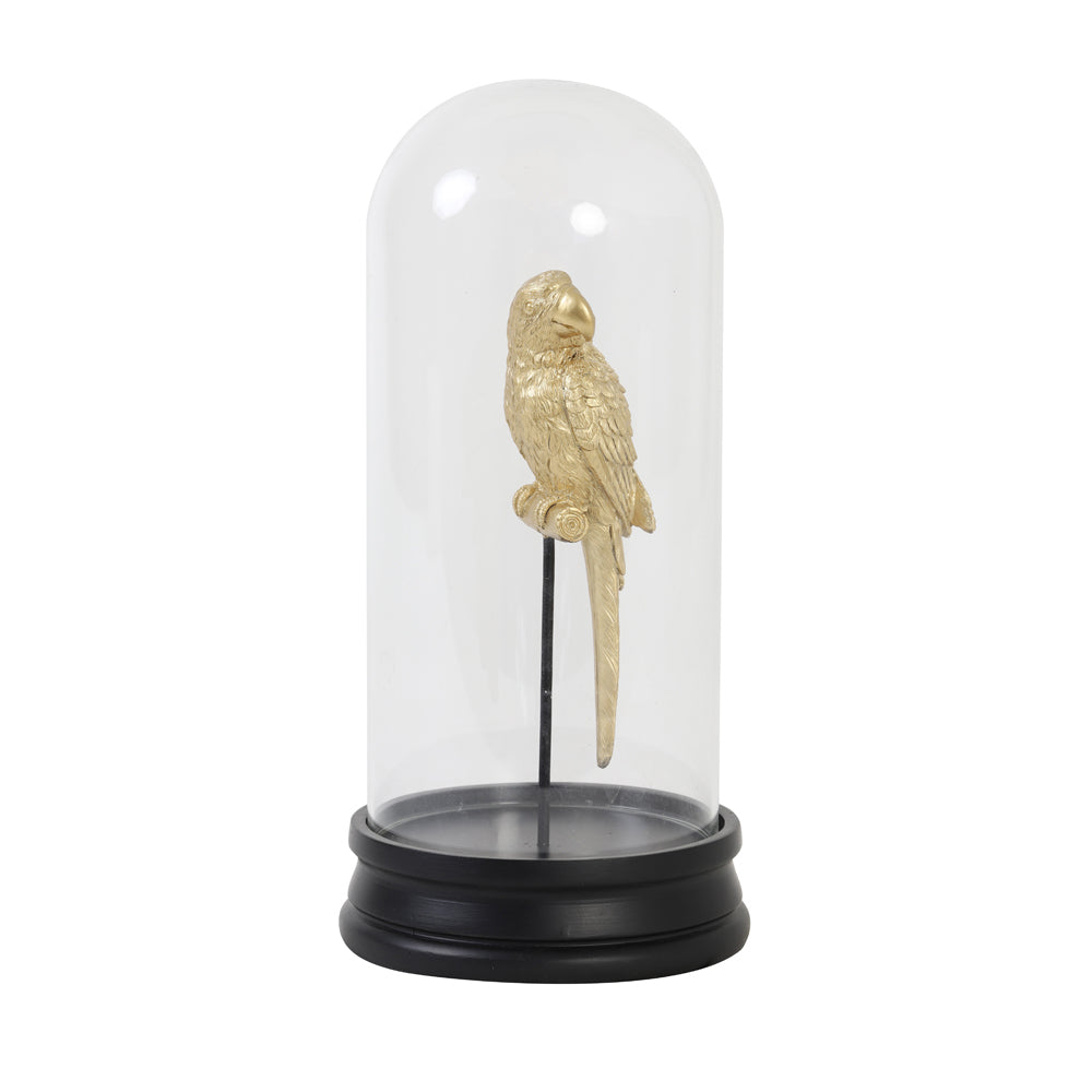 Light & Living Parrot Ornament in Glass Bell Jar
