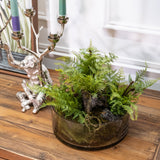 Moorside Faux Fern Ornament in Glass Bowl