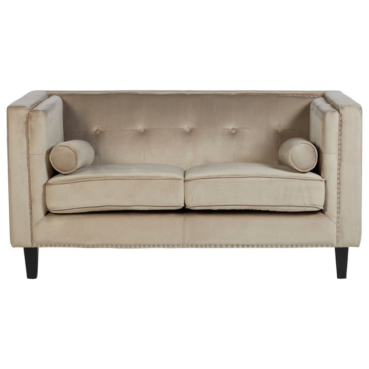 Regina 2-Seater Sofa in Mink Velvet