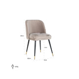 Richmond Interiors Alicia Chair in Khaki Velvet