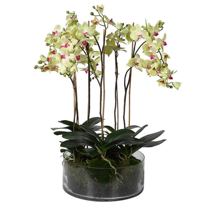 Takayama Huge Orchid Ornament with Green Flowers