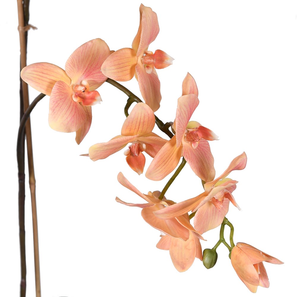 Takayama Huge Orchid Ornament with Salmon Pink Flowers
