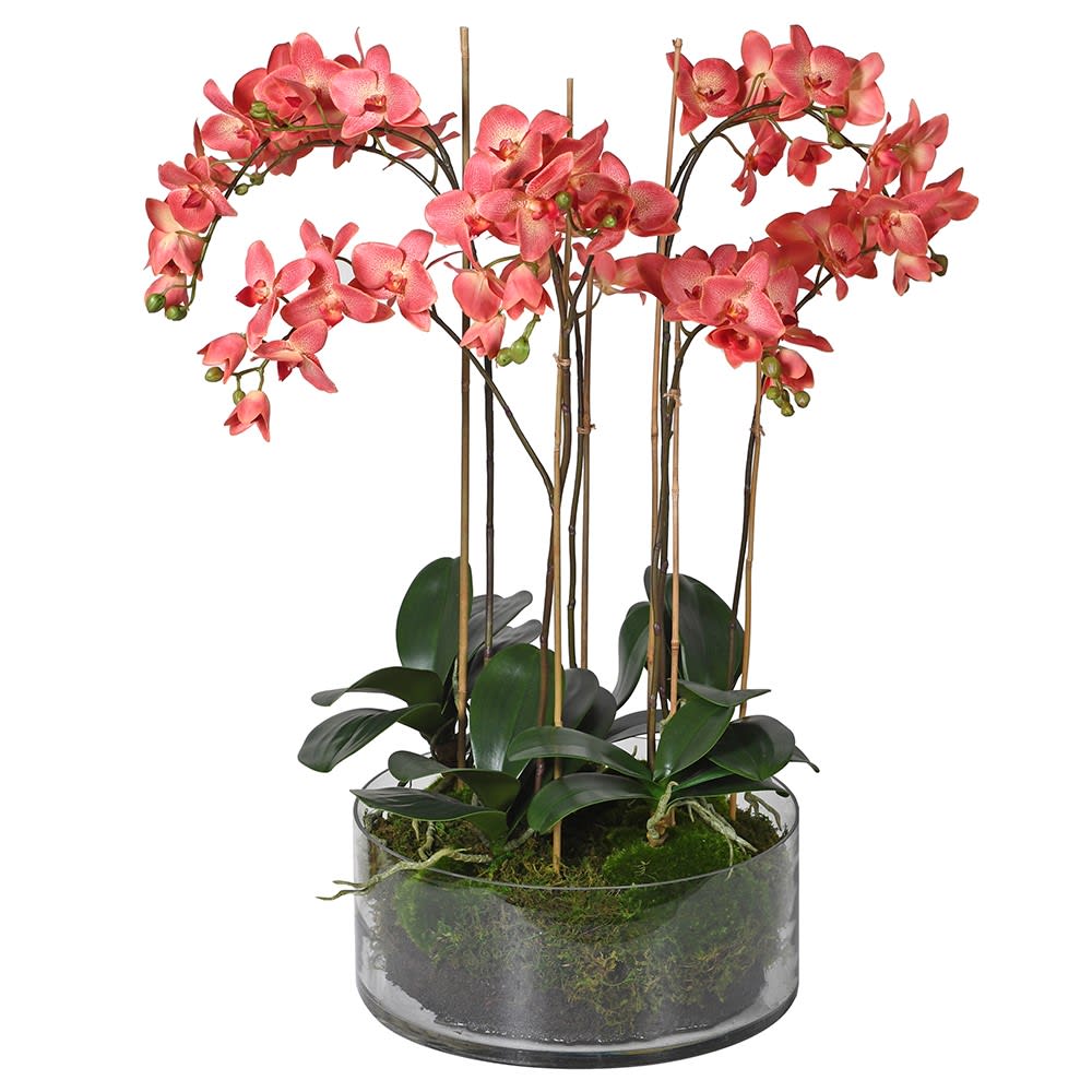 Takayama Huge Orchid Ornament with Red Flowers