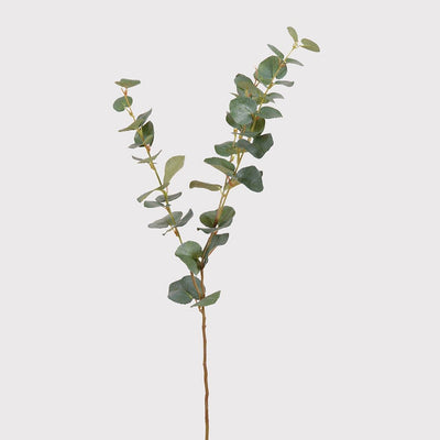 5 x Tyria Eucalyptus Spray Stems with Evergreen Style