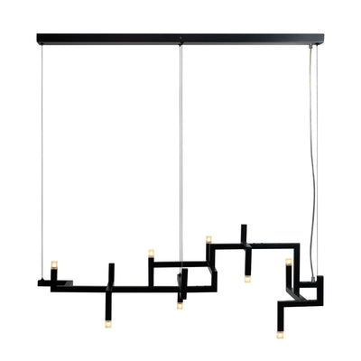 Versus Pendant Lamp in Black Powder Coated Stainless Steel